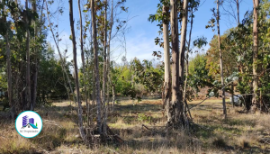 MaClau-terreno-pichilemu