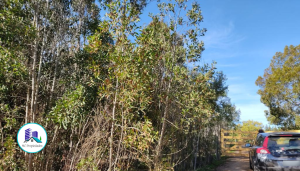 MaClau-terreno-pichilemu