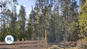 MaClau-terreno-pichilemu