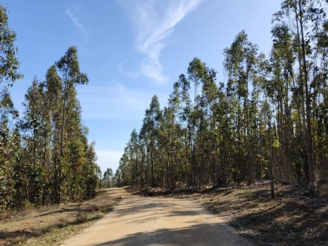 terreno-pichilemu-maclaupropiedades